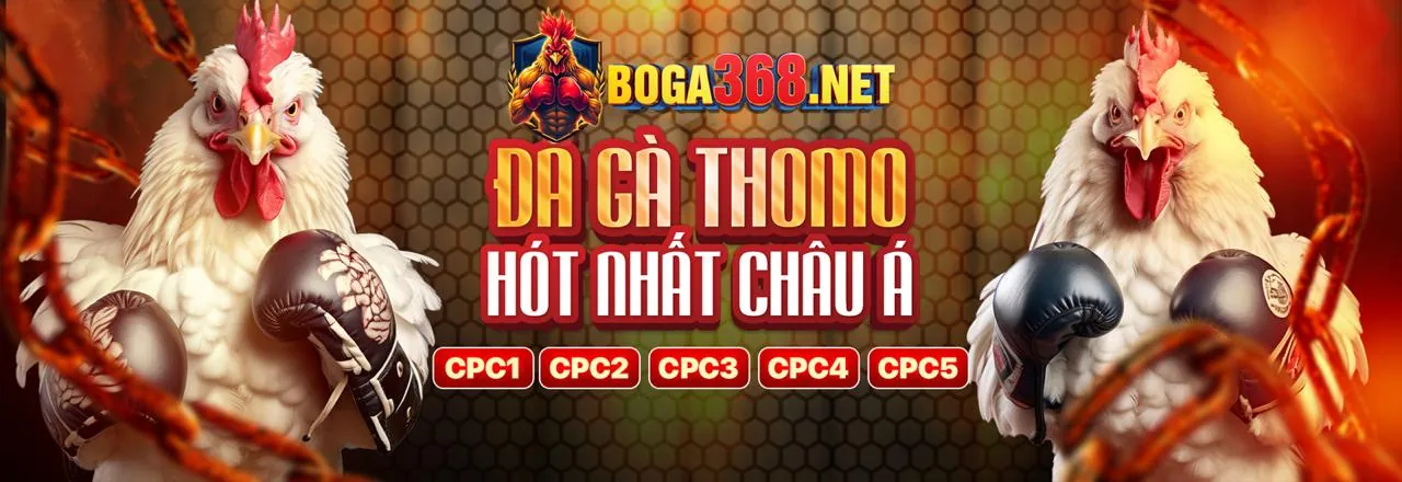 Giao diện cá cược thể thao trực tiếp trên điện thoại thông minh